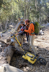 Considering A Career in Science Research? Team Bedrock Shares Their Advice