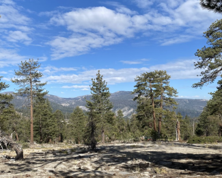 BCZN's Russell Callahan Leads Paper Connecting Forest Drought Vulnerability to Bedrock Composition