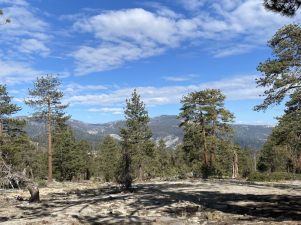 BCZN's Russell Callahan Leads Paper Connecting Forest Drought Vulnerability to Bedrock Composition