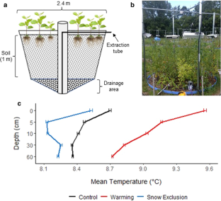 Soil Types Influence Forest Nutrient Loss Under Climate Change