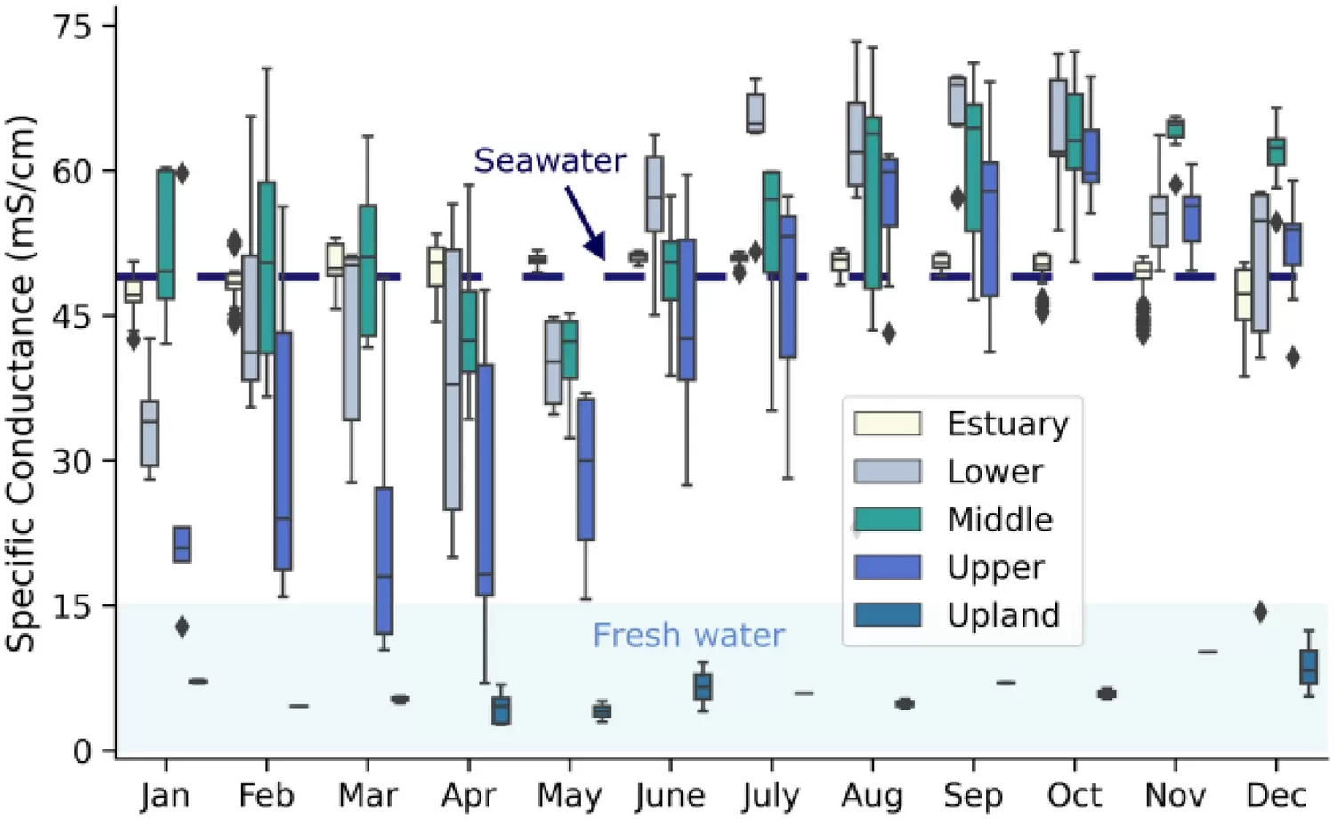 Freshwater Flows: A Critical Factor in Salt Marsh Health