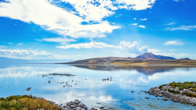 Saving the Great Salt Lake: A Community Effort Led by Salt Lake Community College