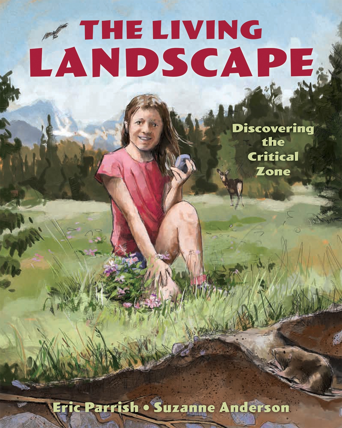 Children’s book about our living landscape!