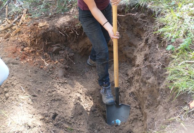 Lena Bixby digging