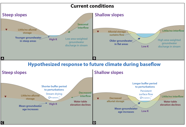 Conceptual figure showing hypothesized response to future decreased SWE and groundwater recharge in two different stream geomorphology scenarios in both a current and future setting.