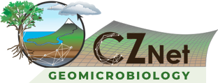 CZNet Cluster Logo - geomicrobiology